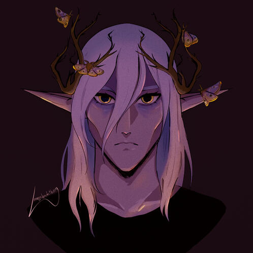 OC: Moth